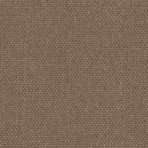 Muscle Beach Tweed