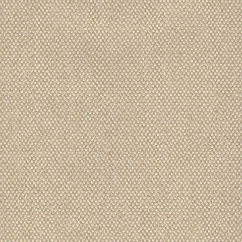 Hayden Taupe